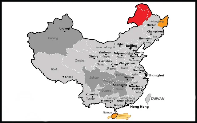母雞地瓜圖.jpg