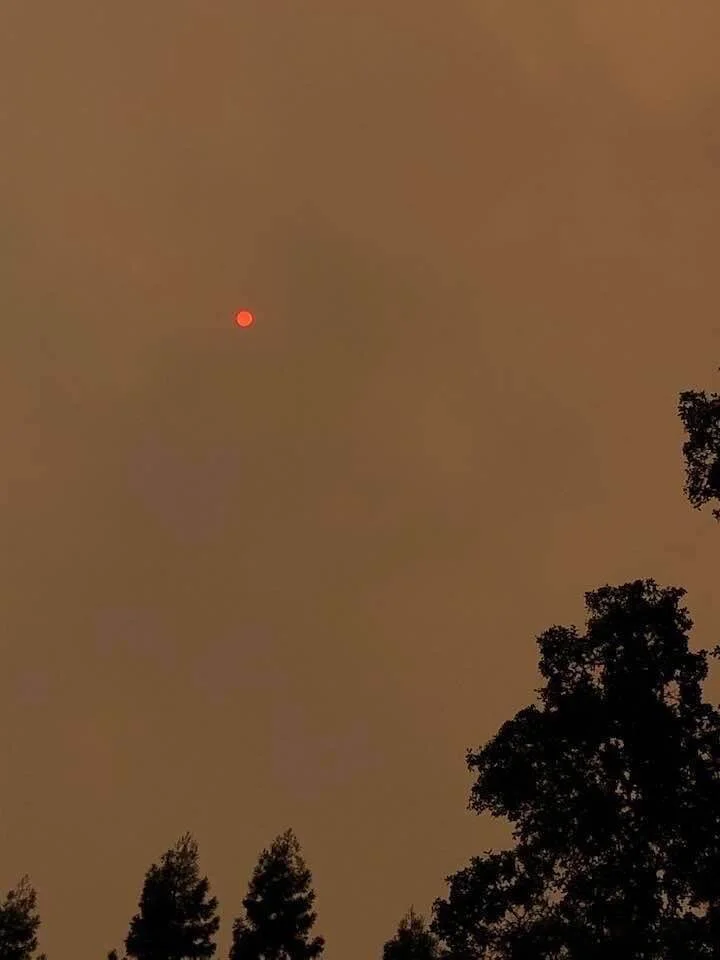 On finding normalcy in times of crisis