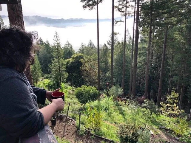 Inaugurating the "Musician's Climate Citizenry" Blog