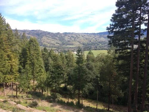 Our Crises Are Connected: COVID-19's Lessons for the Growing Climate Emergency