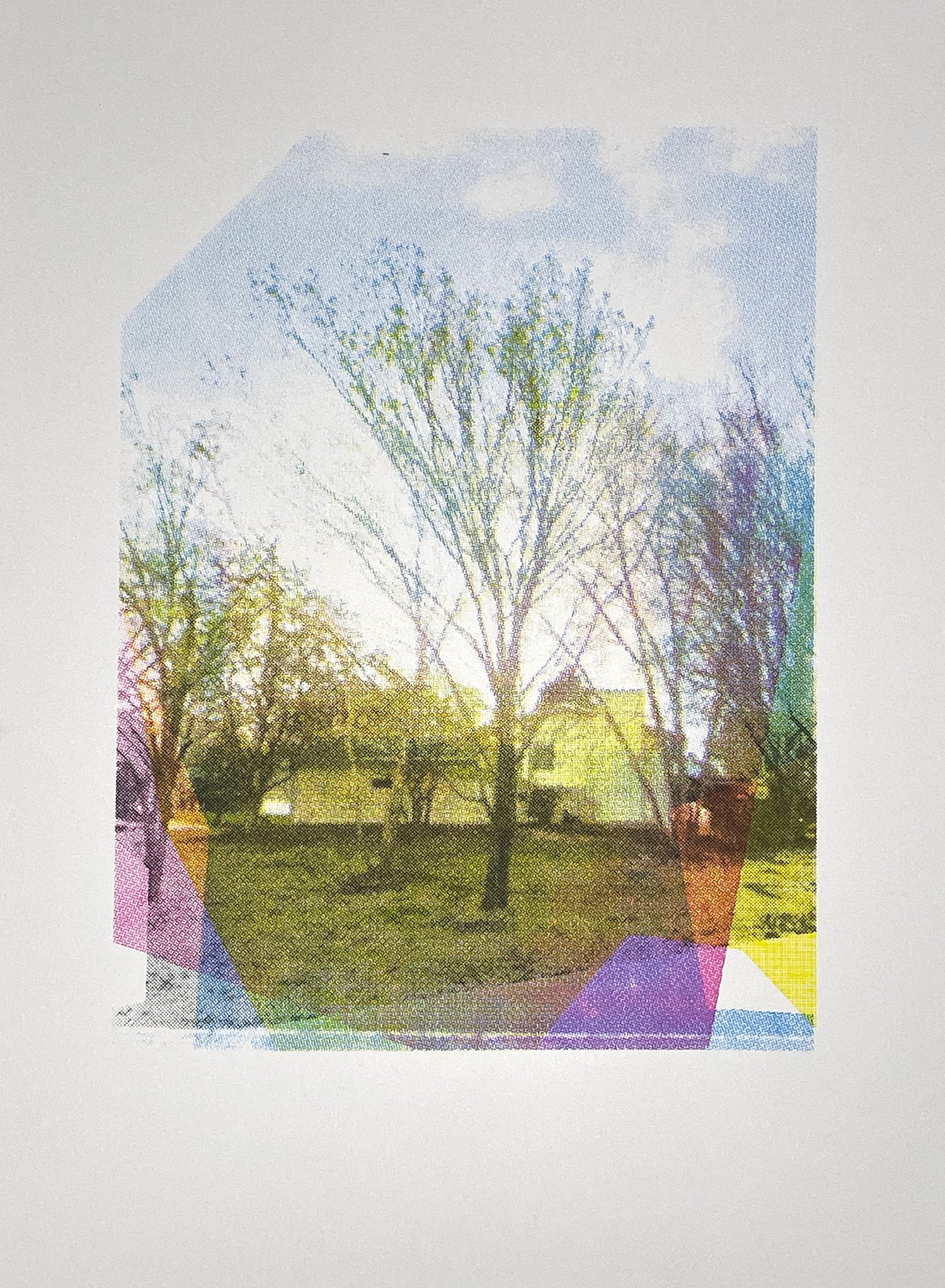 Trees-2.jpg