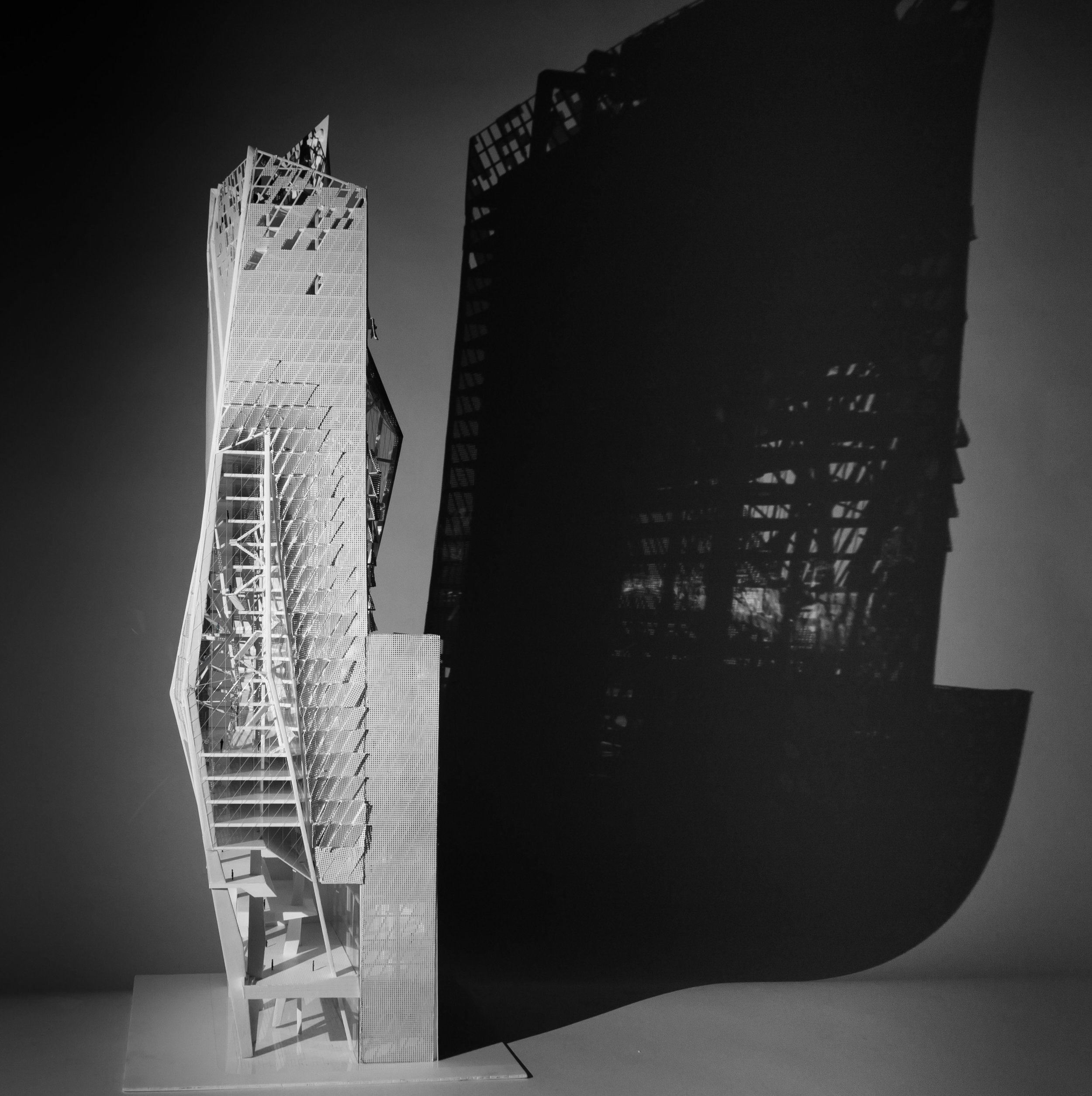 PSFS Model