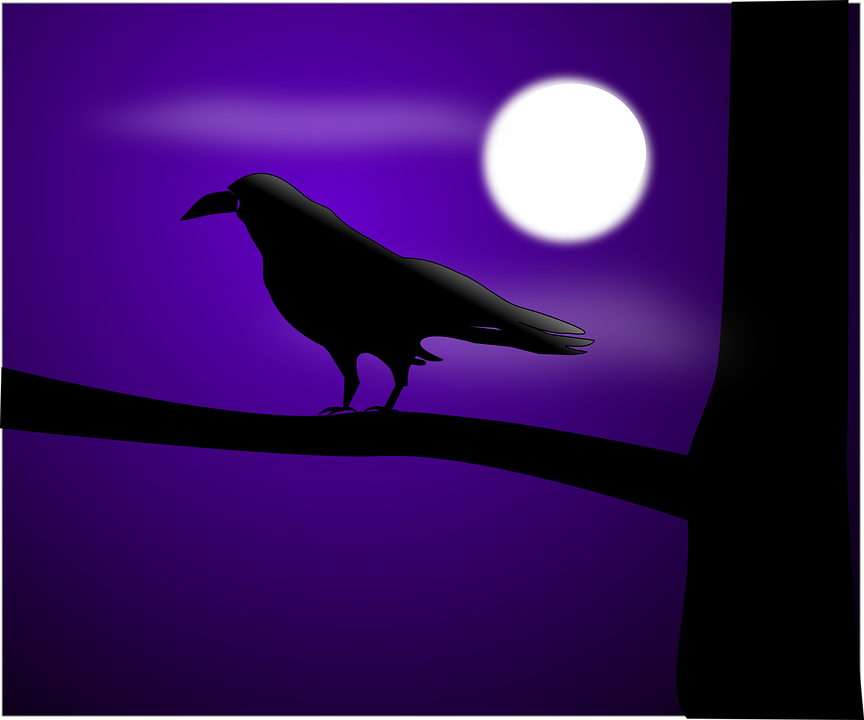 raven-151603_960_720.png