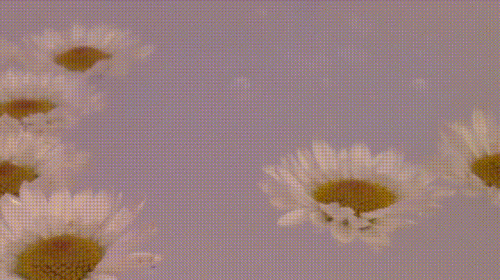 yEvIwEb - Imgur.gif