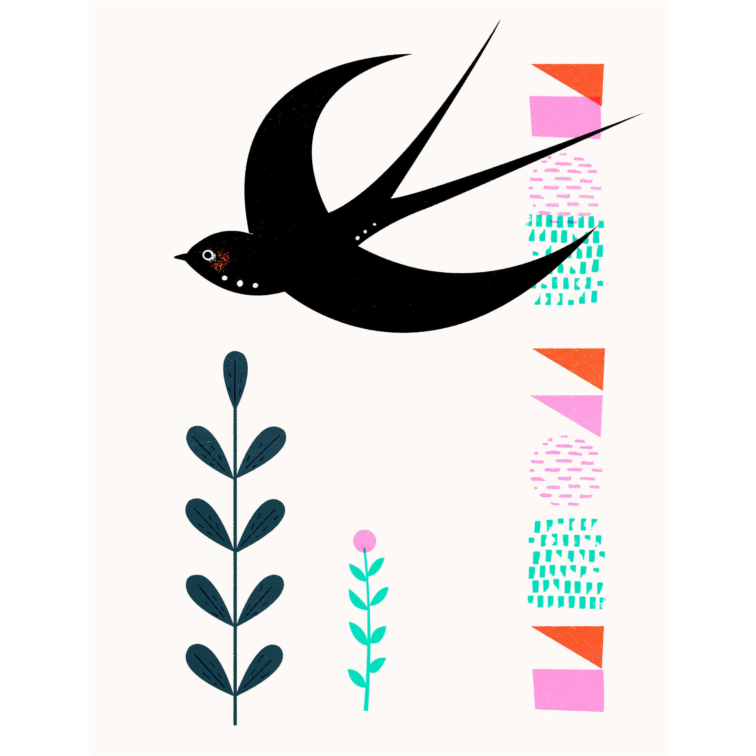 swallow(square)_Luckens_illustration_Jan_Konopka_04.jpg