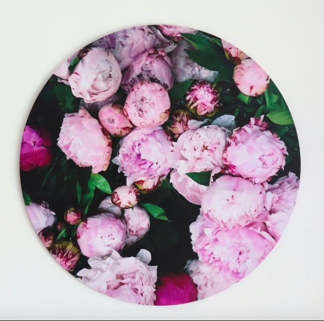 Screen Shot 2019-02-19 at 8.15.06 PM.png