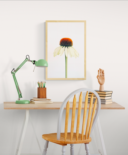 Screen Shot 2020-05-25 at 4.47.07 PM.png