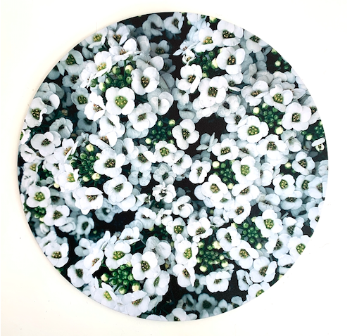 Screen Shot 2020-07-03 at 1.43.50 PM.png