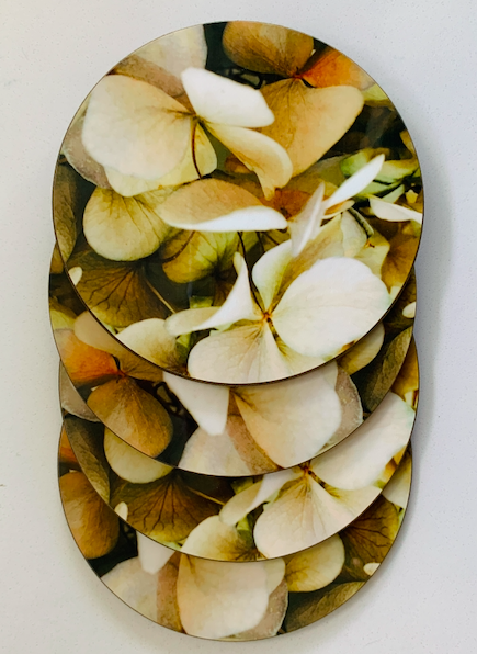 Screen Shot 2021-01-28 at 5.08.26 PM.png