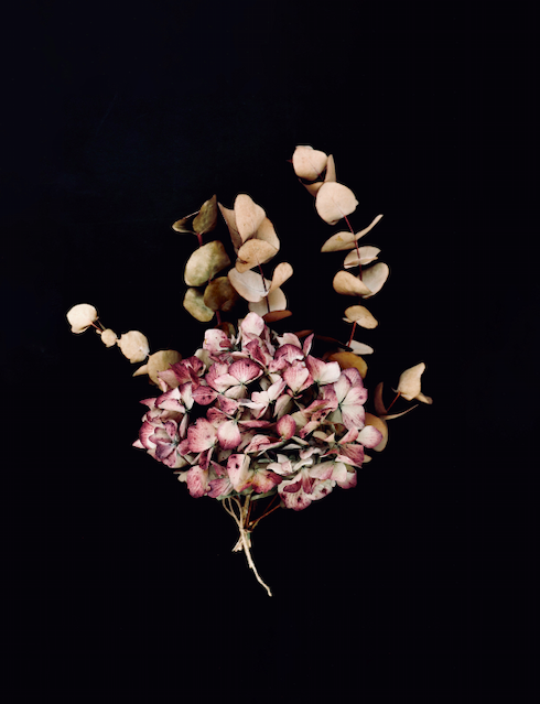 Screen Shot 2021-03-04 at 5.26.54 PM.png