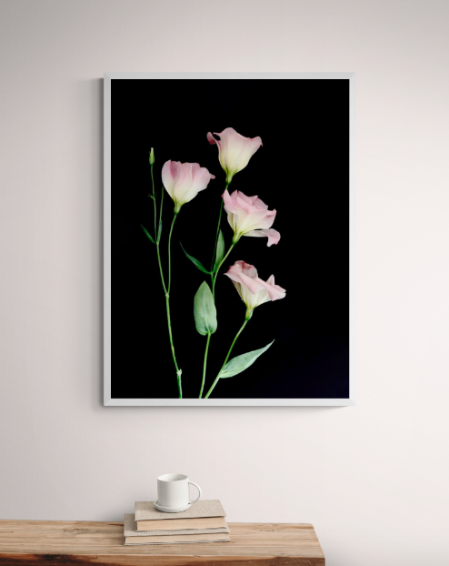 Screen Shot 2021-03-13 at 8.24.03 AM.png