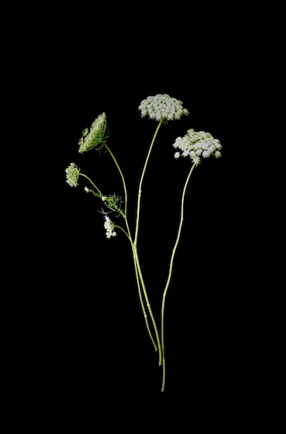 Screen Shot 2021-03-28 at 3.14.58 PM.png