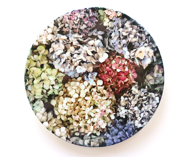 Screen Shot 2021-10-18 at 4.11.26 PM.png