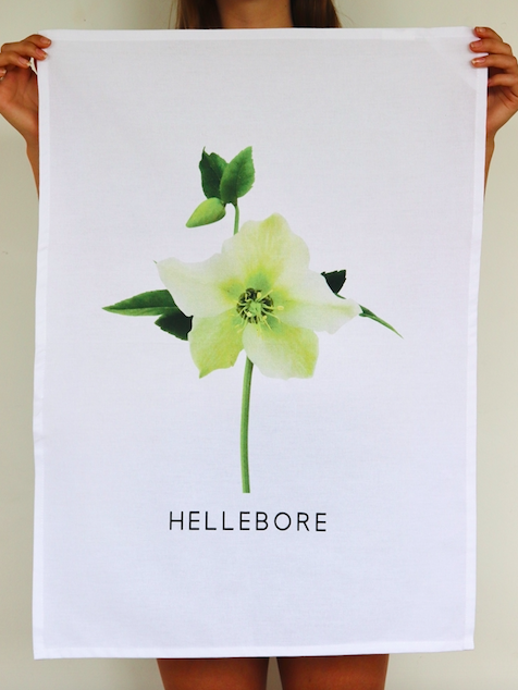 Screen Shot 2022-02-06 at 1.40.14 PM.png