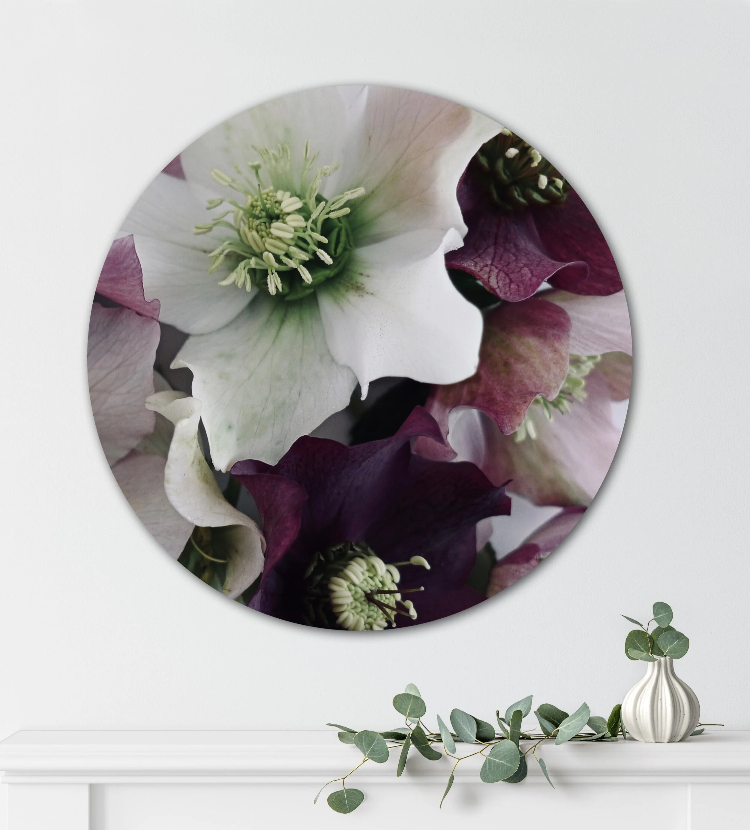'Thornton Road Hellebores' Canvas Round