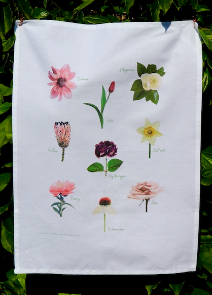 Screen Shot 2022-11-01 at 6.12.53 PM.png