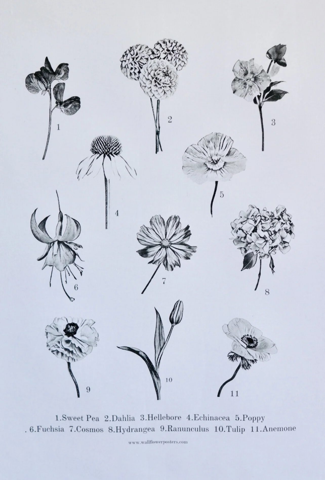 53F00046-D99D-4E34-8971-B9B2D97C6E83