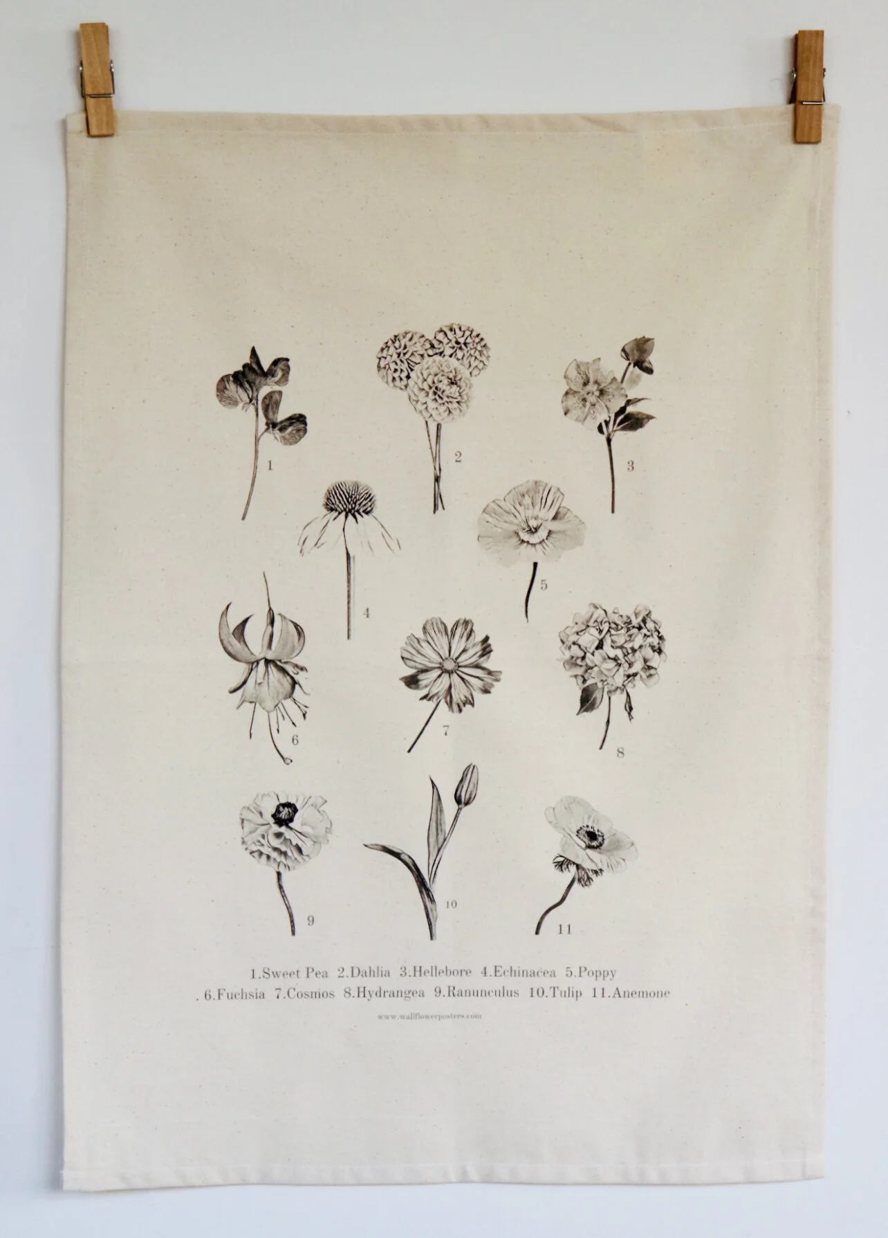 6AEF2EE0-5B78-4A62-AB6D-FAFCB3537D0A