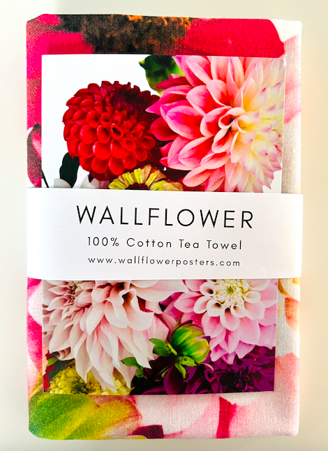 Screen Shot 2025-10-05 at 11.53.12 AM.png