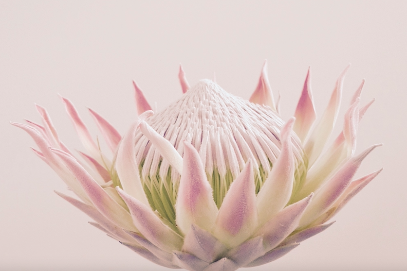 Screen Shot 2024-11-25 at 3.32.10 PM.png