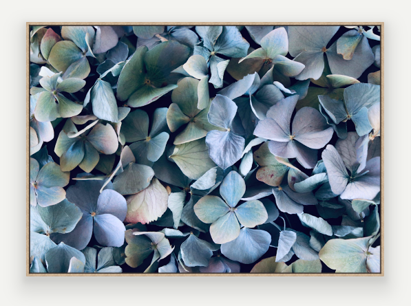 Screen Shot 2025-03-11 at 2.00.29 PM.png