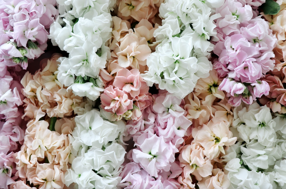 Screen Shot 2024-11-25 at 4.07.00 PM.png