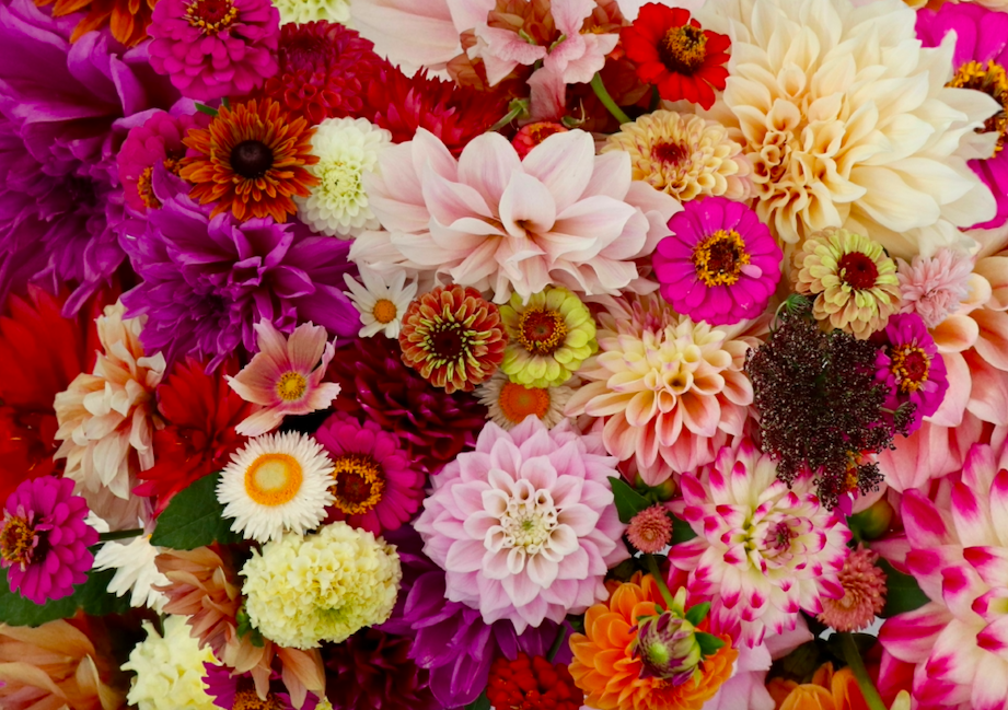 Screen Shot 2024-11-25 at 3.24.13 PM.png