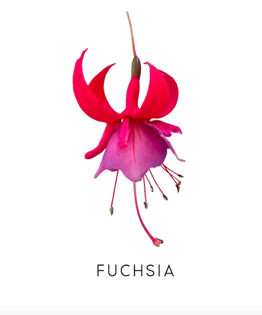 Screen Shot 2025-10-05 at 12.31.26 PM.png