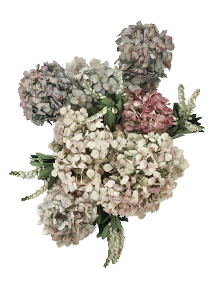 Screen Shot 2024-11-25 at 3.48.16 PM.png