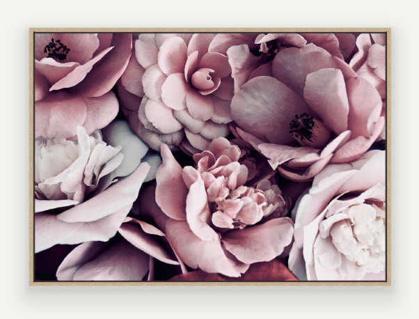 Screen Shot 2025-03-11 at 2.05.09 PM.png