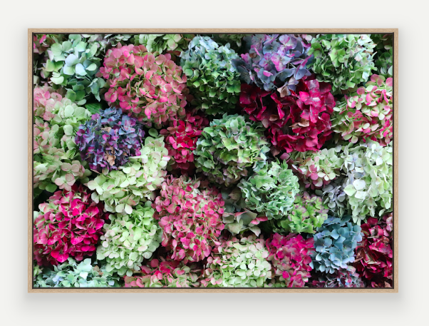 Screen Shot 2025-03-11 at 2.02.52 PM.png