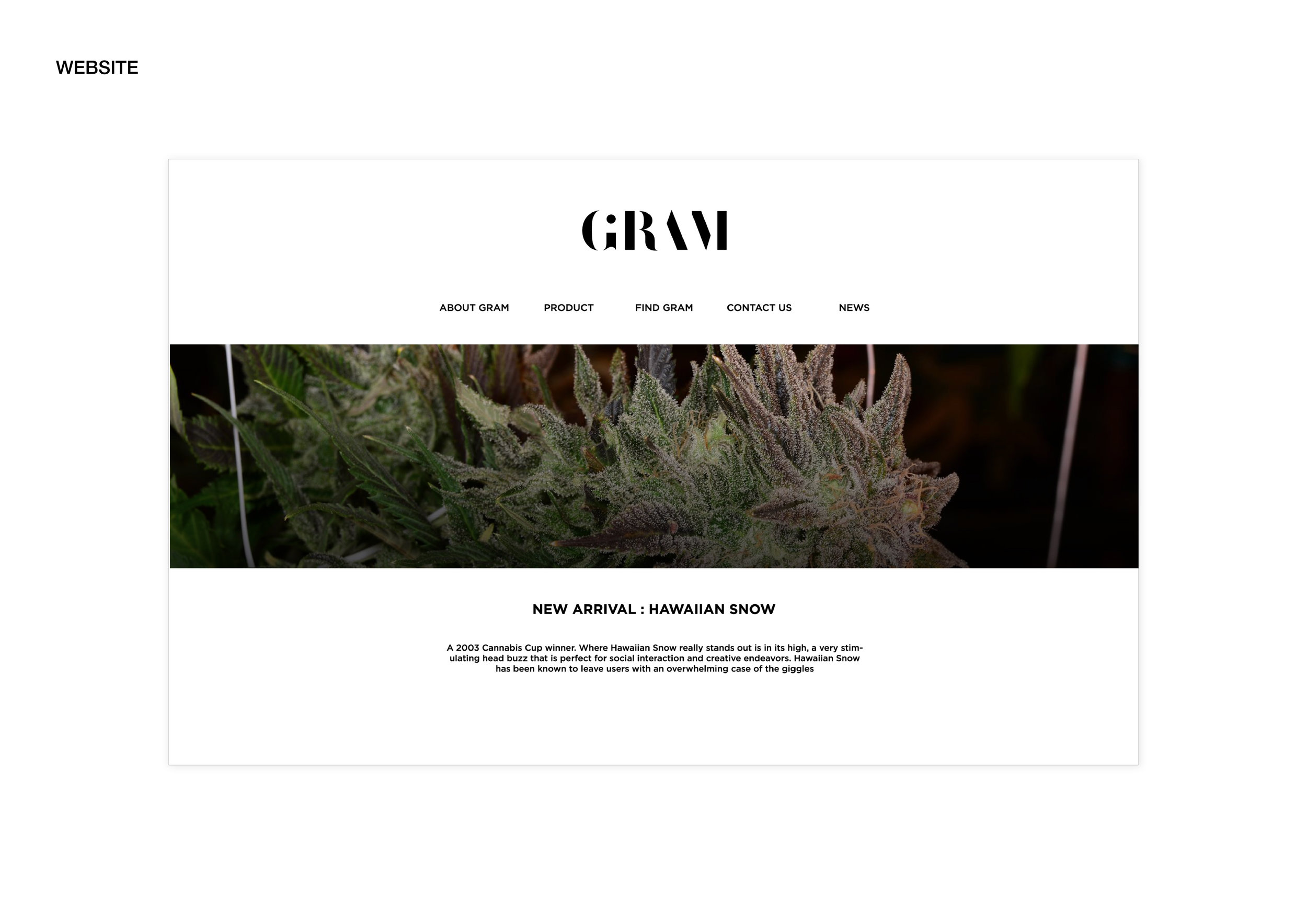 GRAM_website.jpg