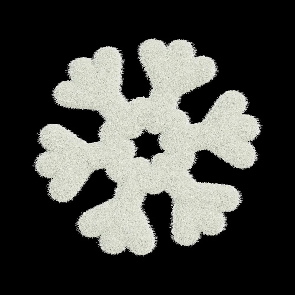 NJR_Reb_Snowflake_8k.jpg