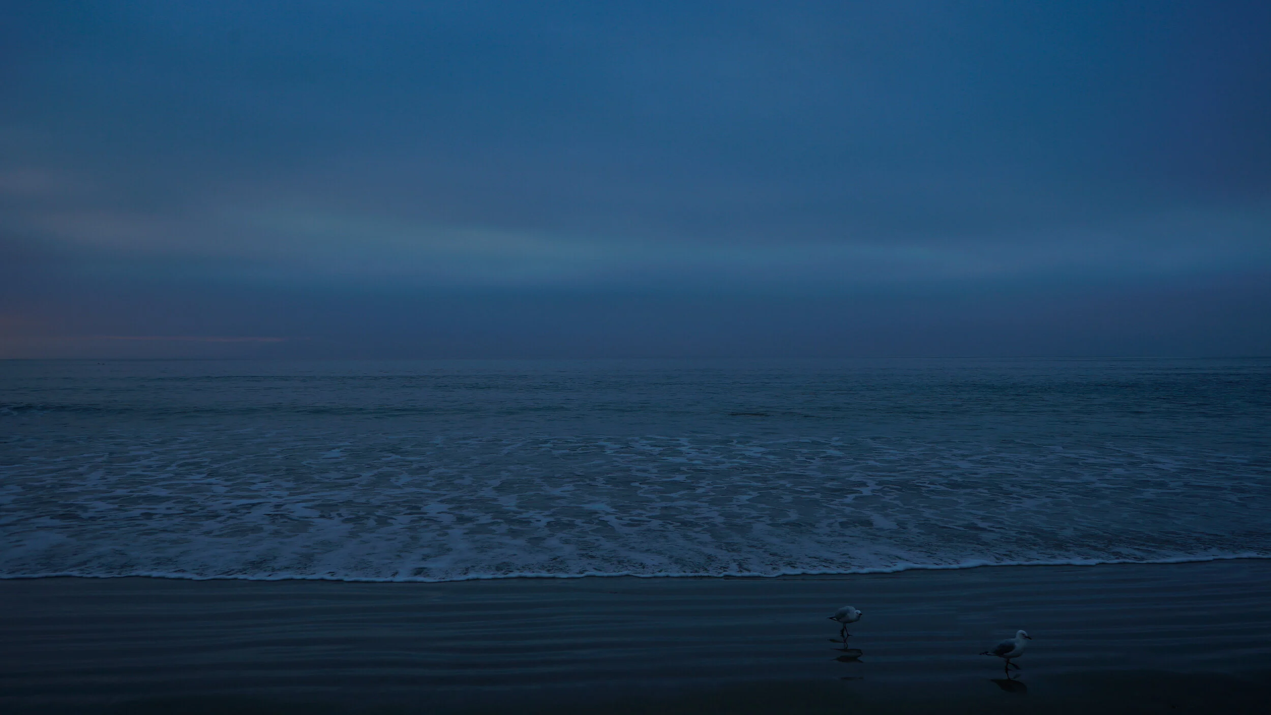 Winter Dawn Walkerville Beach