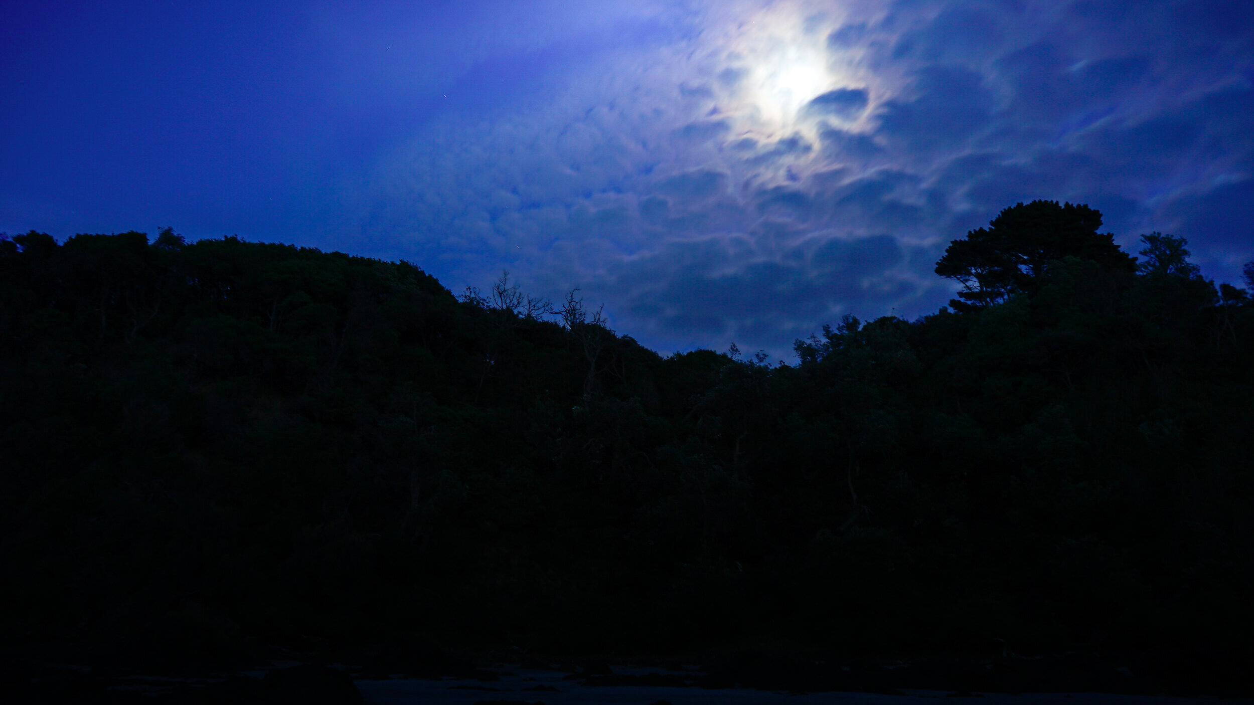 Moonlight Walkerville South