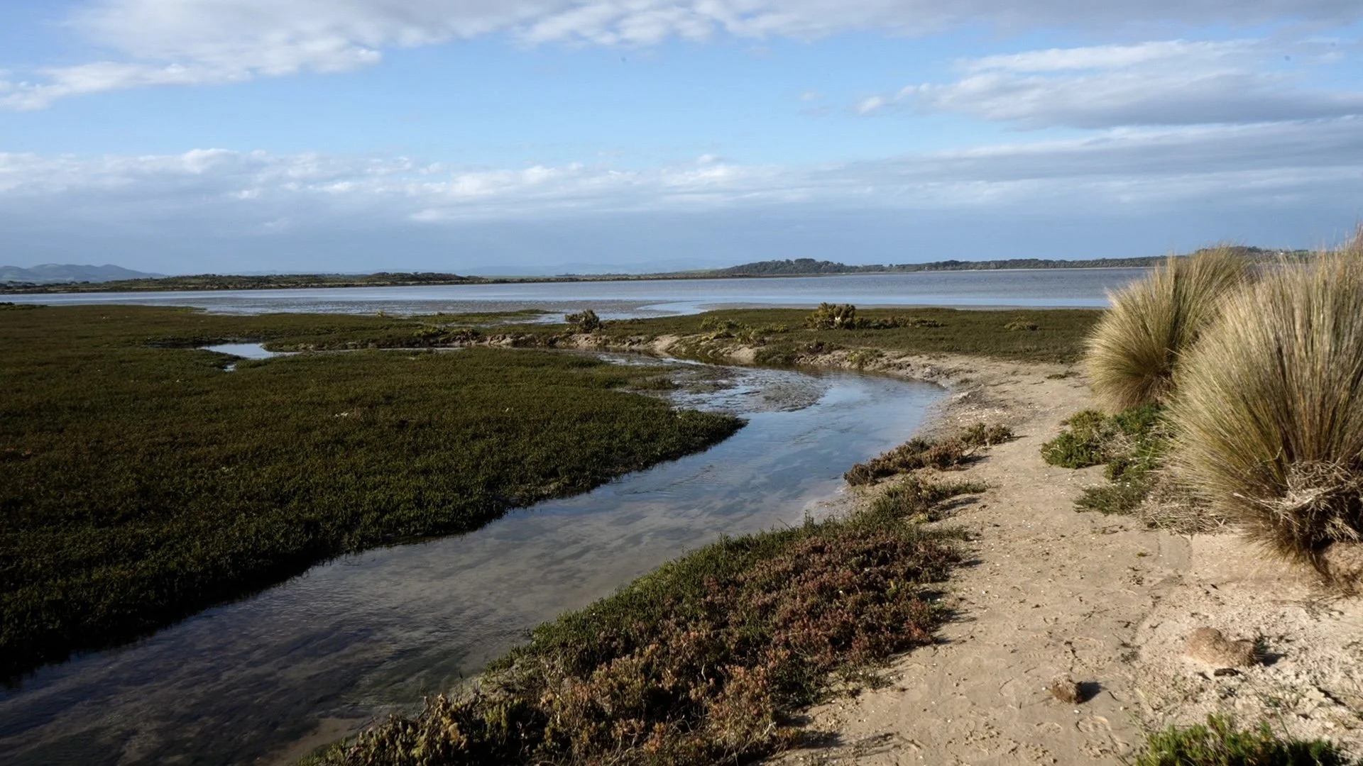 Shallow inlet low tide. KR Still001.jpg