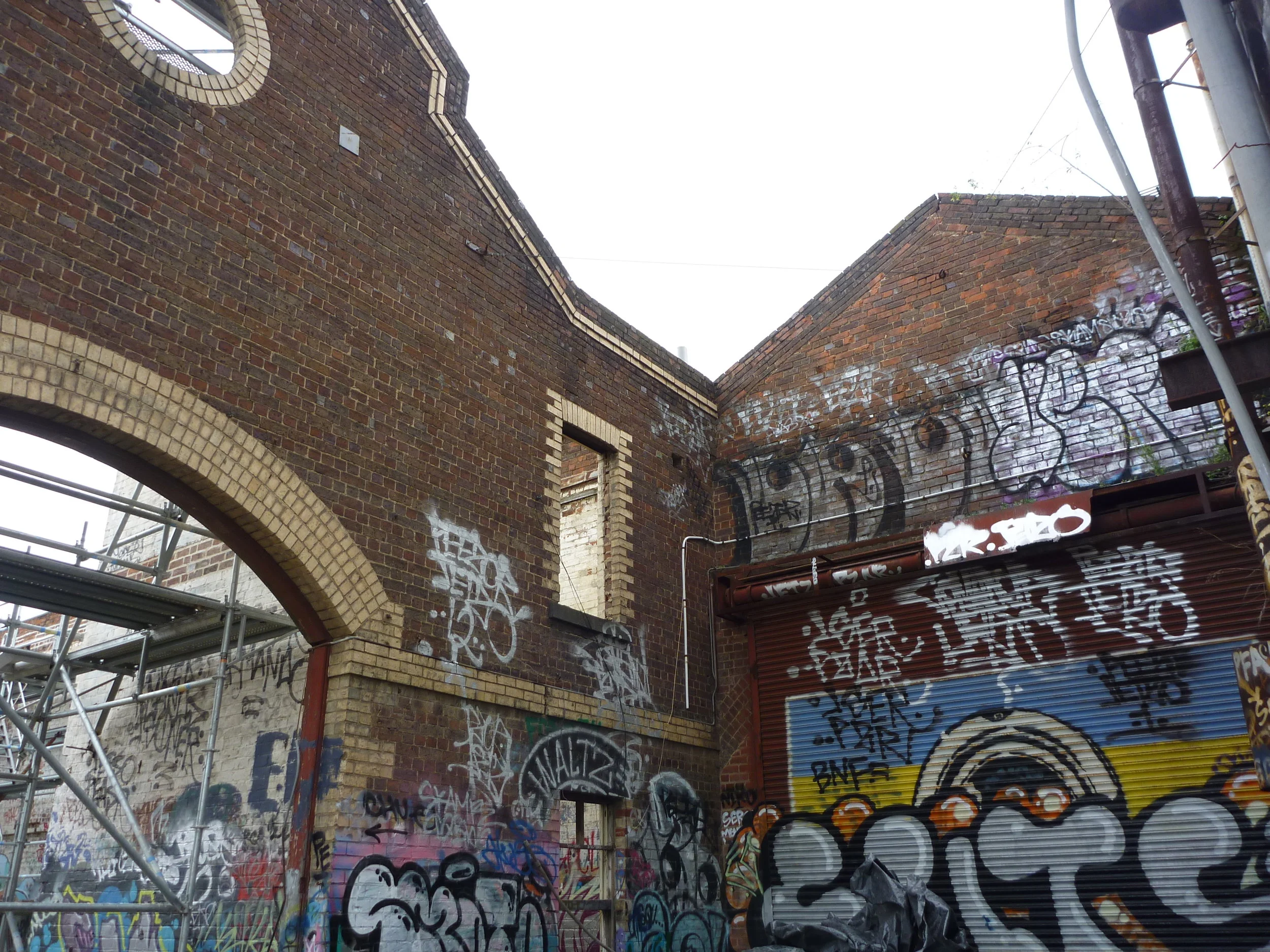 P1130755.JPG