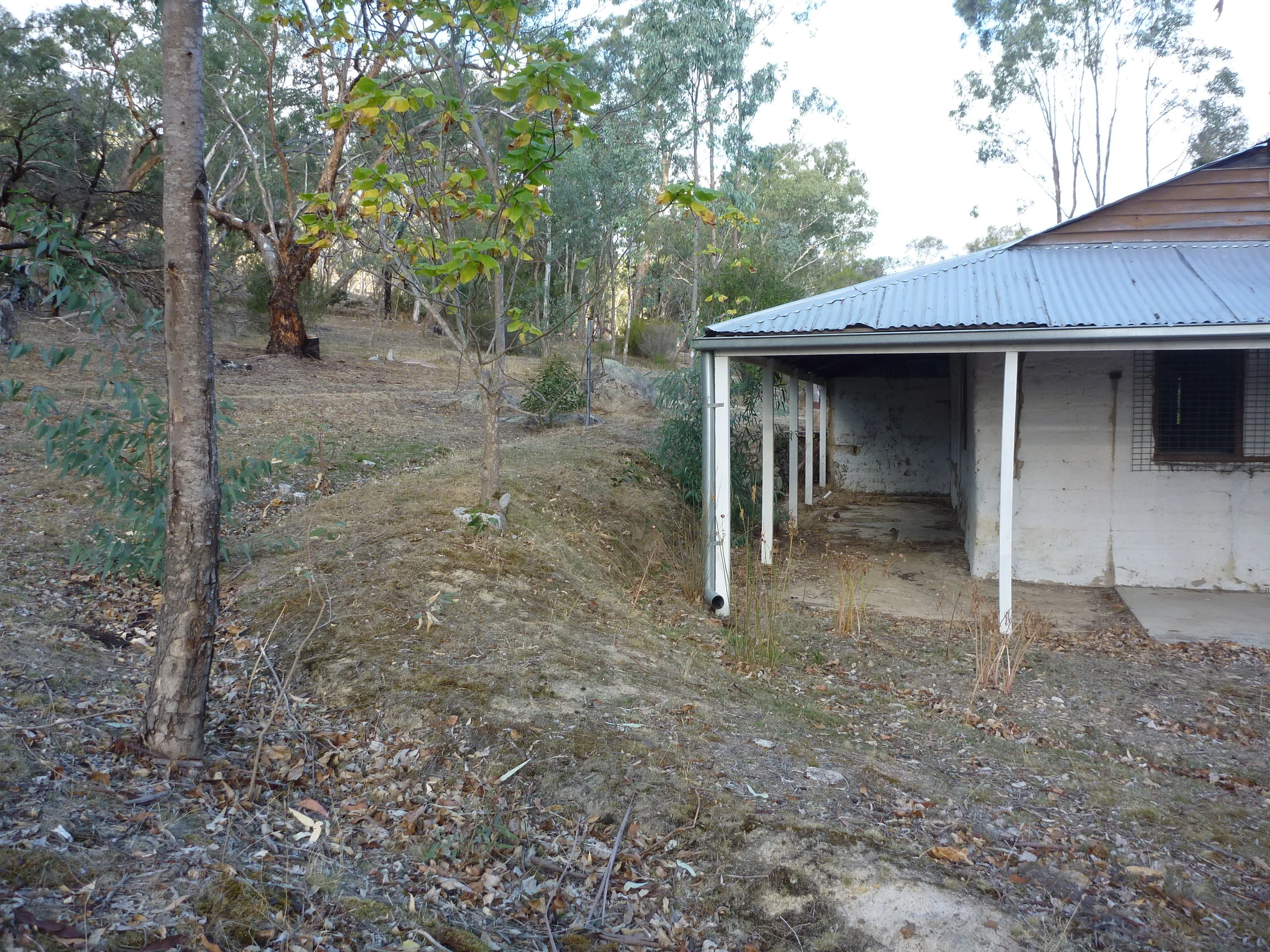 P1110536.JPG