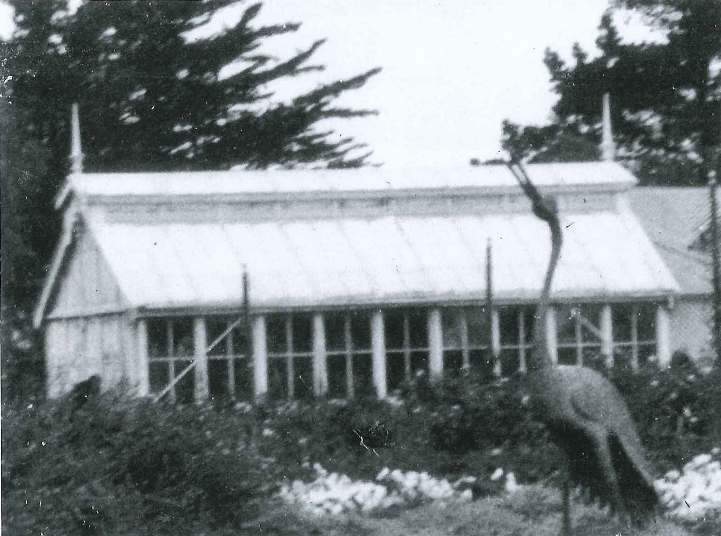 Pages from 160218-Enlarged_original_Photos.jpg