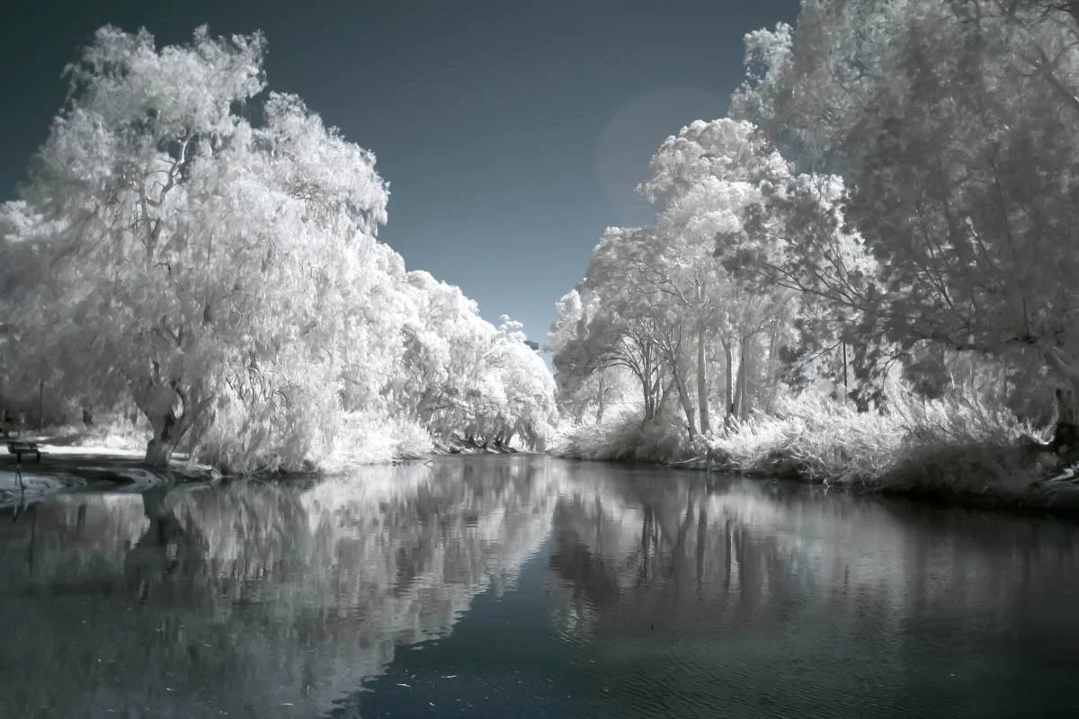 LF_20150306_253-Edit.jpg