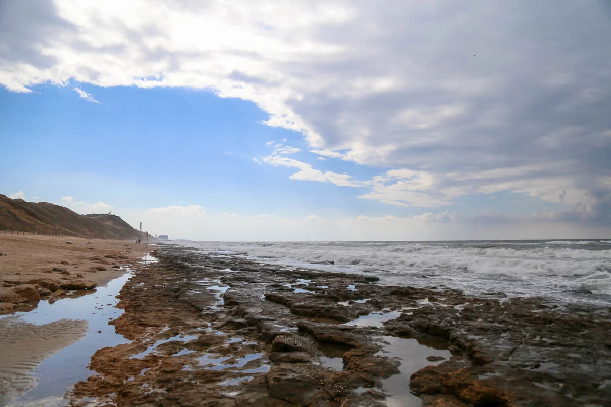 LF_20150214_253-2.jpg
