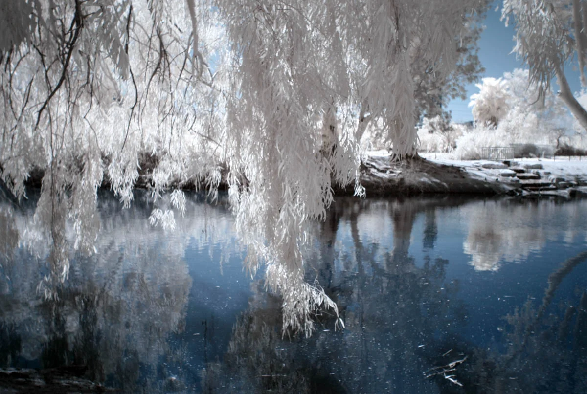 LF_20150306_253-4.jpg