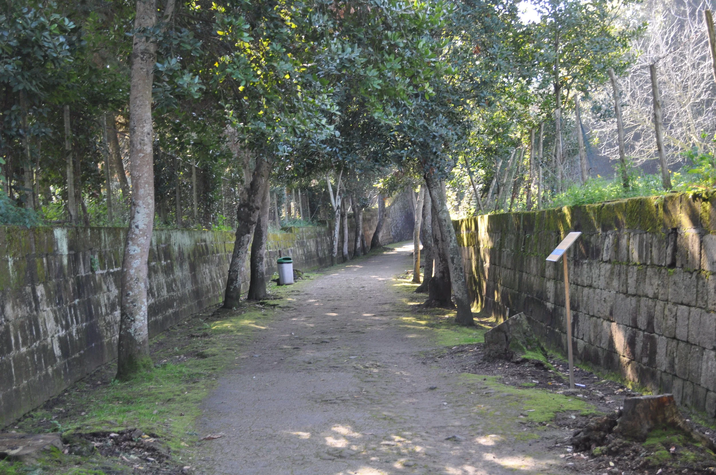 Well worn paths will take you to the temple of Apollo. By Rosina Khan