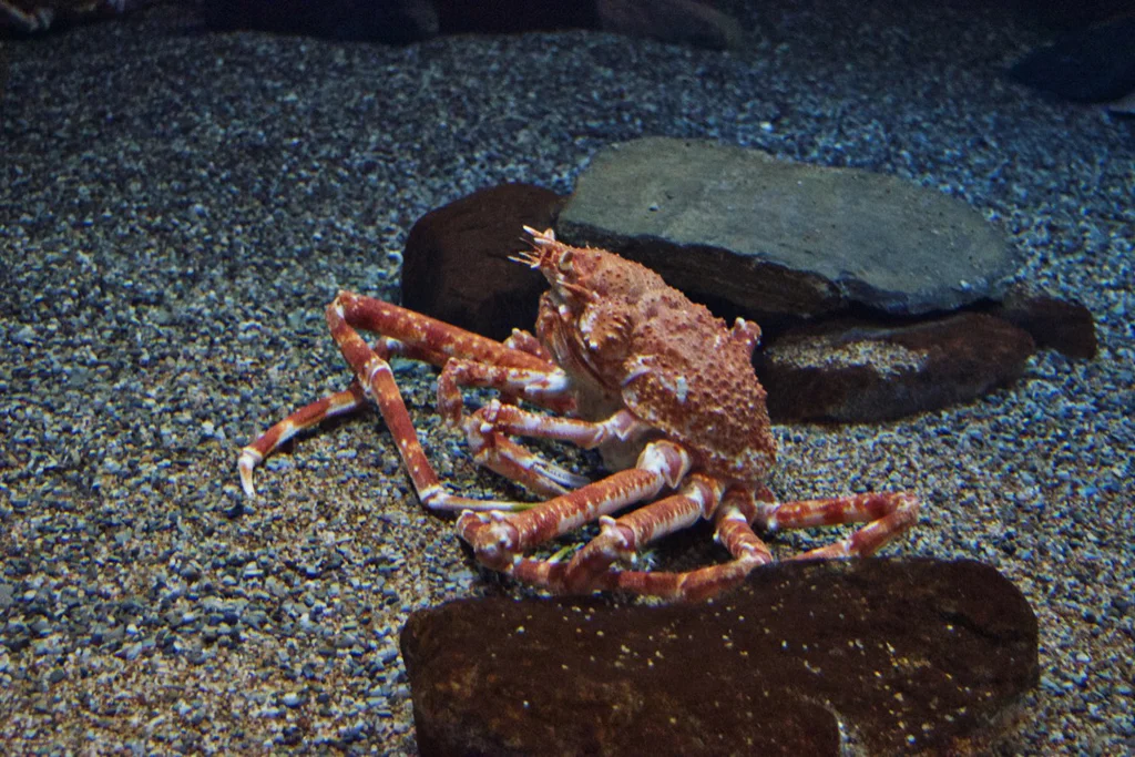 mystic aquarium.jpg