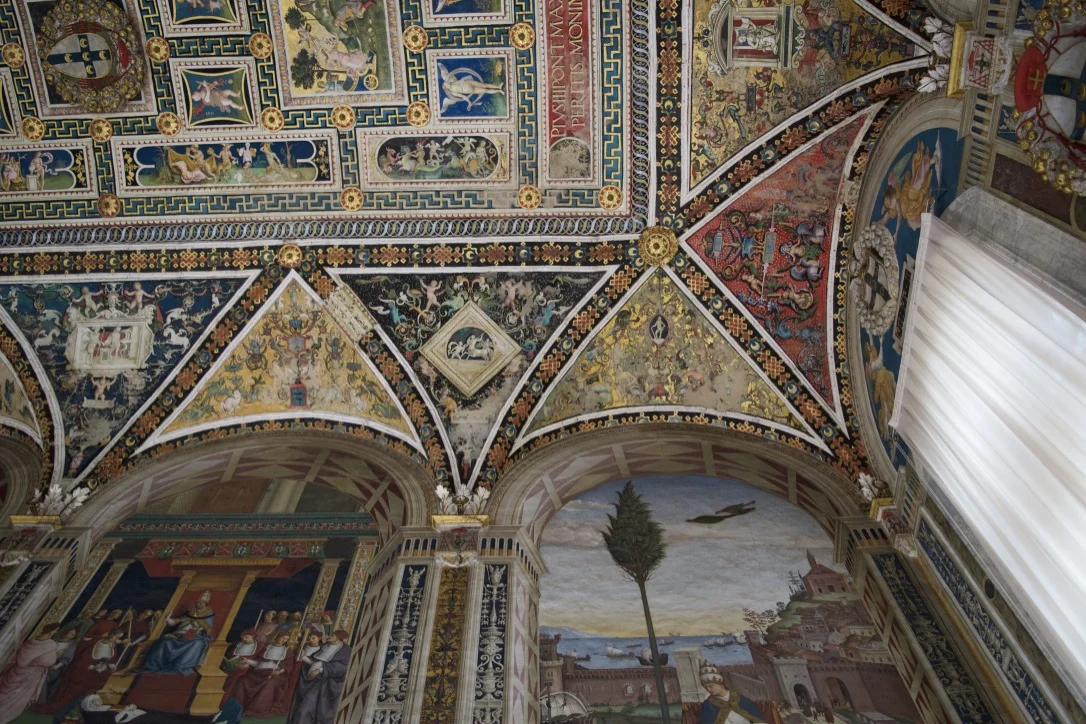 siena10.jpg