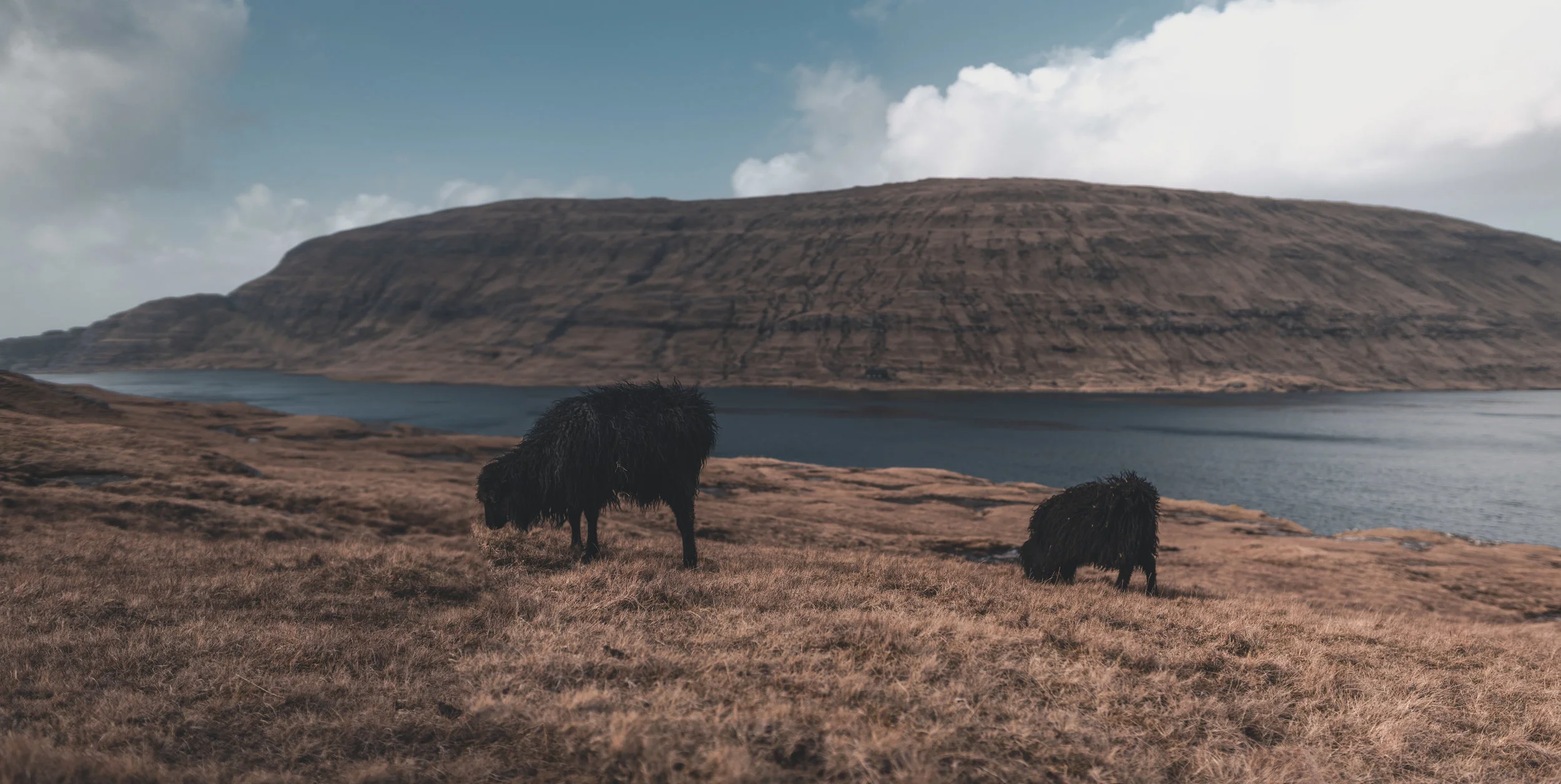 _DSC9507-Pano.jpg