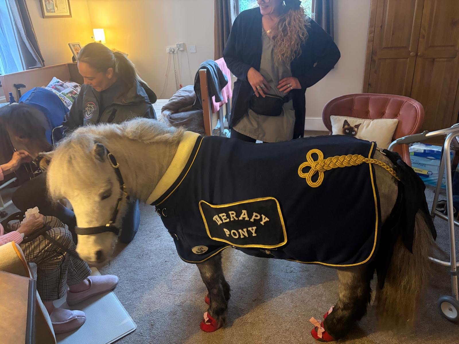 Therapy Ponies Make a Golden Wish Come True at Croston Park