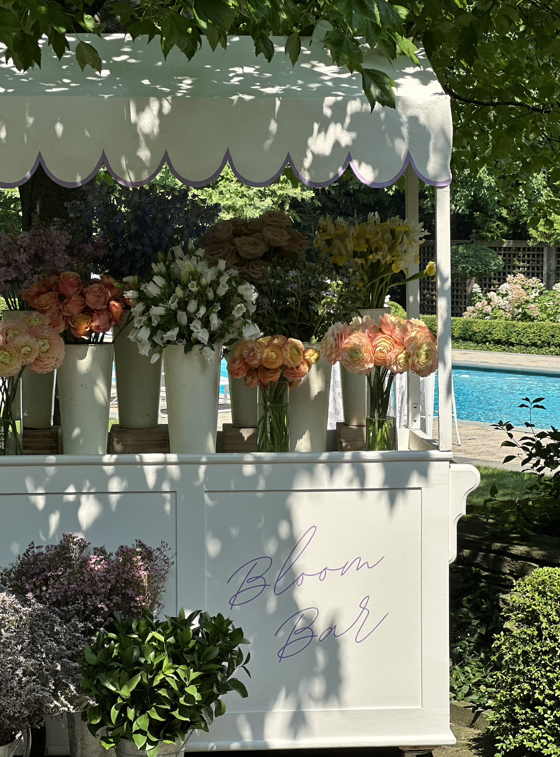 Screenshot 2026-02-17 at 1.30.39 PM.png