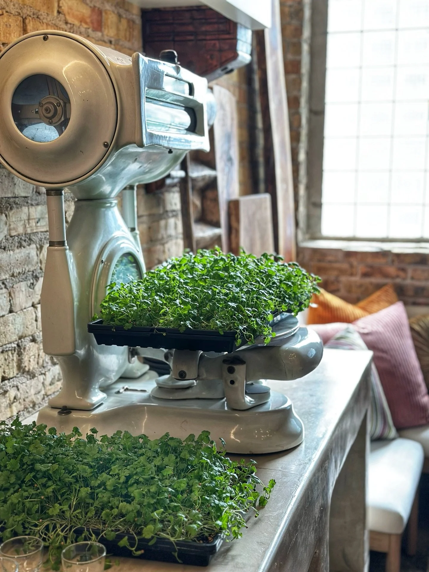 have you heard about our upcoming dinner with One Off Hospitality?

One Off Hospitality is the restaurant group behind some of Chicago&rsquo;s most iconic spots&hellip;Publican, Avec, Big Star and The Violet Hour. 

we are partnering on a seasonal di