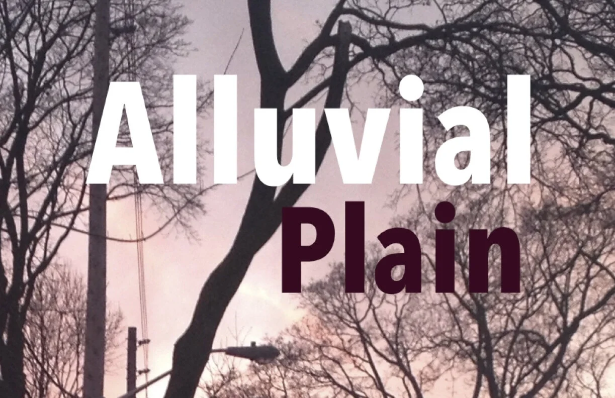 AlluvialPlainTreesFeb:19.jpg